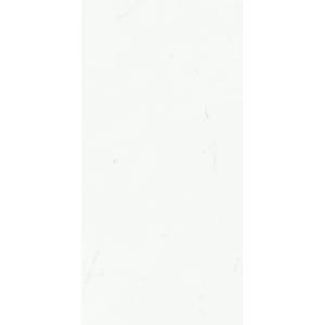 Керамогранит Ariostea Marmi Classici PL612516 Statuario Classico Luc 60x120