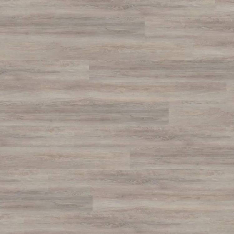 SPC Ламинат Wineo 400 Wood XL 5.5/31 4V RLC301WXL Дуб светло-серебристый 1522x225