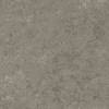 Керамогранит Atlas Concorde Marvel Meraviglia AJIL Grigio Elegante Velvet 120x120 фото 10