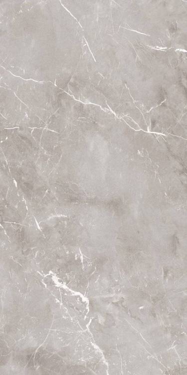 Керамогранит Ariana Epoque PF60004301 Grey Lap 60x120