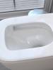 Унитаз-компакт Watersense Mandy Vortex W01855 безободковый, с крышкой-сиденьем микролифт фото 4