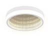 Потолочный светодиодный светильник Ambrella light Ice FA9431 фото 2