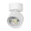Накладной светодиодный спот Lightstar Alta Pro A5546SO
