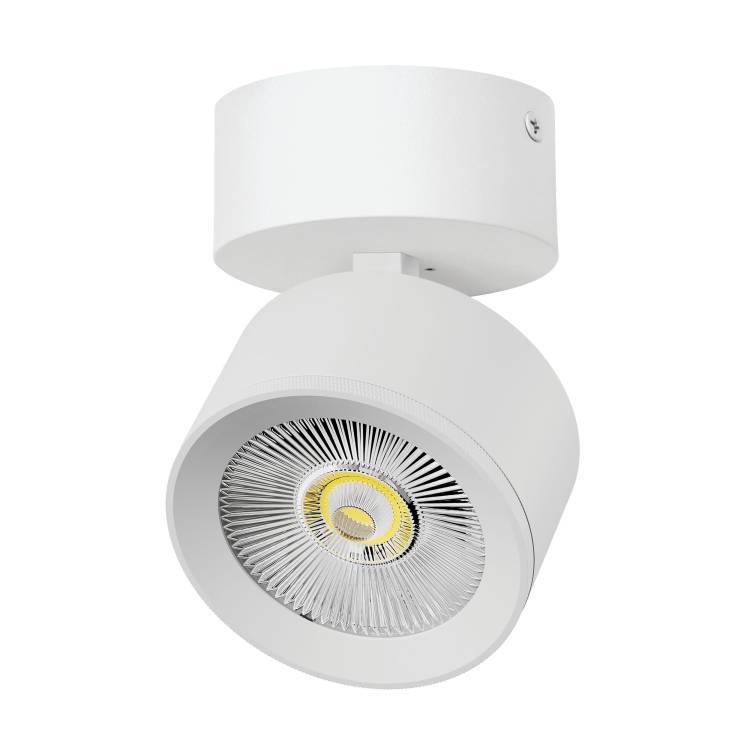 Накладной светодиодный спот Lightstar Alta Pro A5546SO