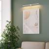 Подсветка для картин светодиодная Elektrostandard Luar 40125/LED 3000K белый фото 3