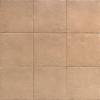 Керамогранит Mainzu Four Seasons PT03858 Canem Season 20x20