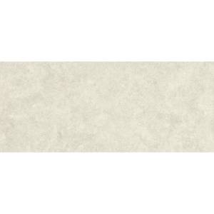 Керамическая плитка Atlas Concorde Boost Icor AYQM Bone Field Matte 50x120