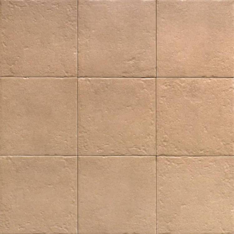Керамогранит Mainzu Four Seasons PT03858 Canem Season 20x20