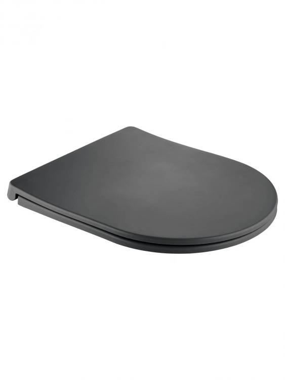 Сиденье для унитаза Wonzon & Woghand WW-S2210-MG с микролифтом, серое матовое