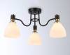 Потолочный светильник Ambrella light Traditional TR303303 фото 2