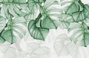 3D Фотообои Artegrafico «Ниспадающие монстеры» TP-041 канвас