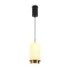 Подвесной светодиодный светильник Freya Iride FR5627PL-L7BBS