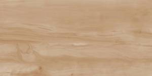Керамогранит Realistik Paint Wood Bone Gloss 60x120