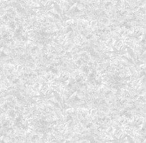 Обои Victoria Stenova Jungle 287095
