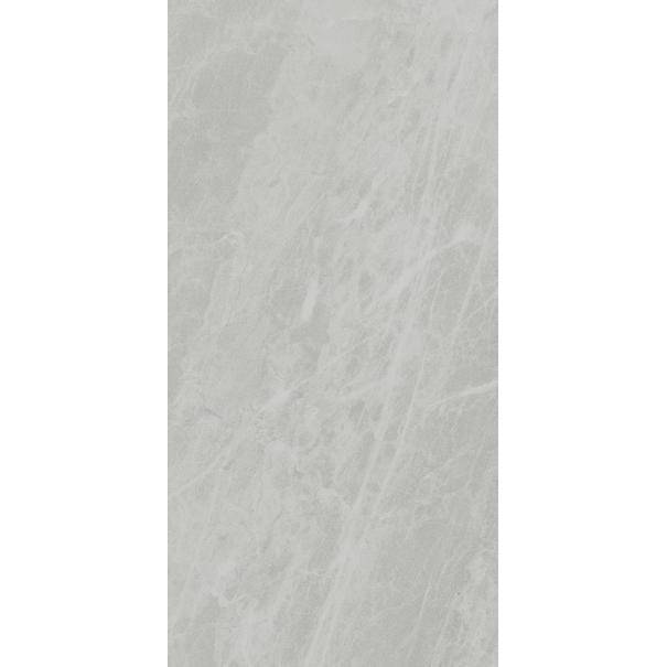 Керамогранит Ariostea Marmi Classici PL612498 Gris De Savoi Luc 60x120