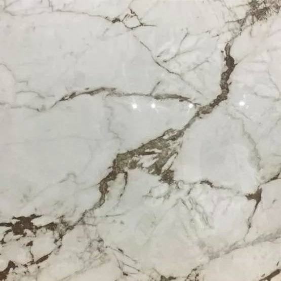 Керамогранит Absolut Gres Calacatta Bronze AB 1099G Gloss 60x60