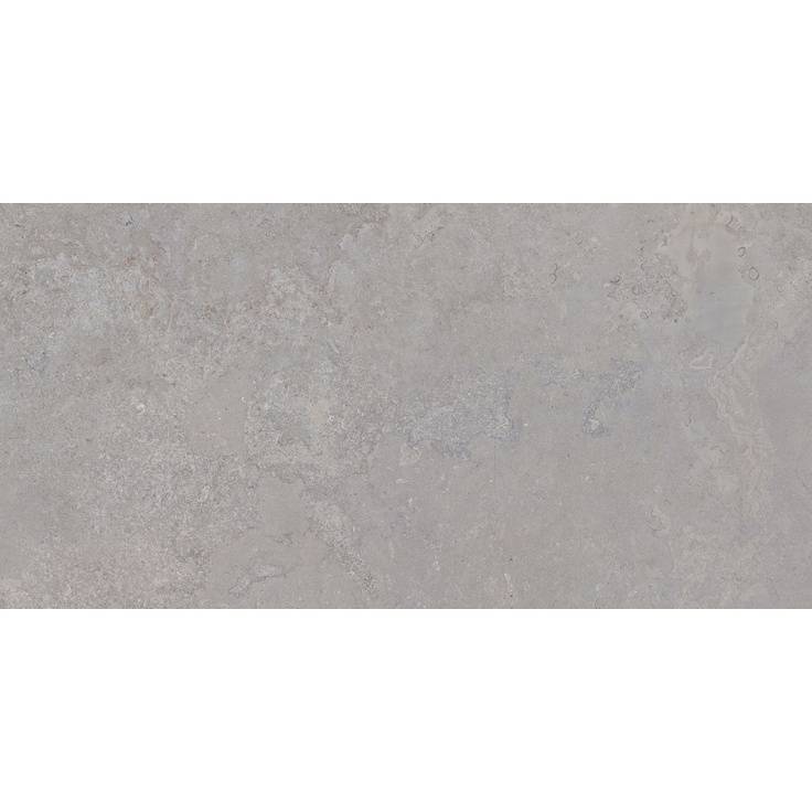 Керамогранит TAU Ceramica Dorset Silver Rec. 60x120