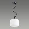 Подвесной светильник Odeon Light Pendant Roofi 4753/1 фото 3
