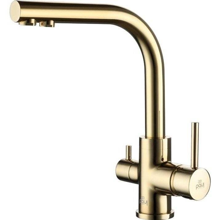 Смеситель для кухни Paulmark Essen Es213011-G золотой