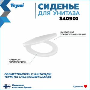 Сиденье для унитаза Teymi S40901 быстросъемное, с микролифтом