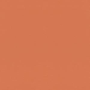 Обои Rasch Natural Colors 687569