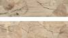 Декор Del Conca Foreste D'Italia 27FI01FOJ FI1 Foliage Beige 20х80