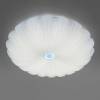 Настенно-потолочный светодиодный светильник Lightstar Arco II 225440 фото 4