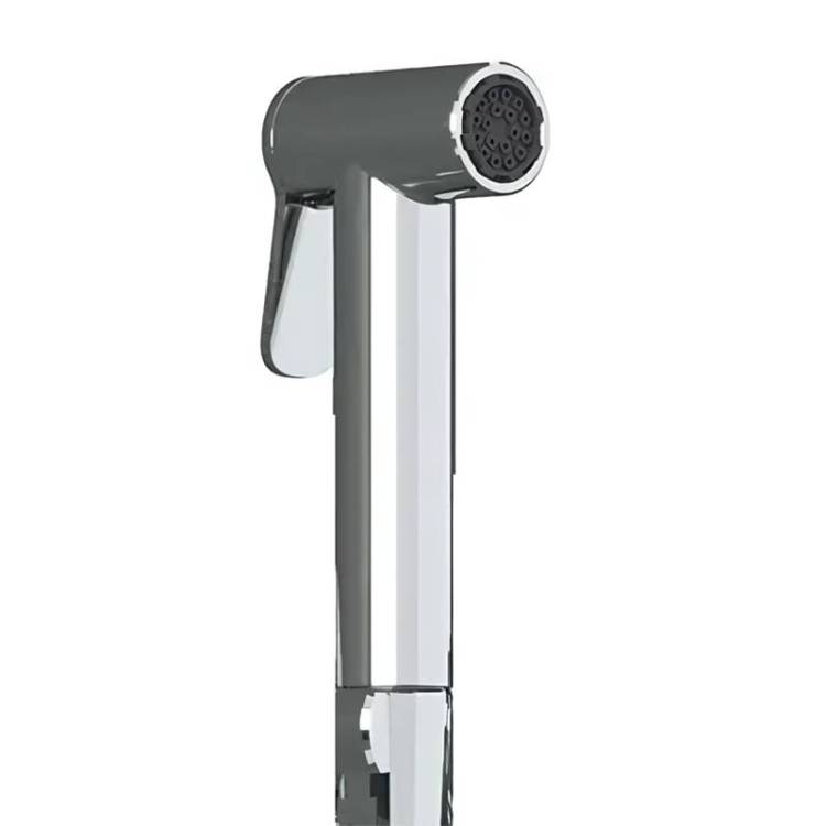 Гигиеническая лейка Teska BTK6900 хром