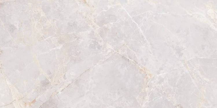 Керамогранит Ocean ceramic OC0000245 Penlico Ice Carving 60x120