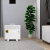 Электрический конвектор iVigo EPK4550E05 Белый фото 13