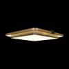 Потолочный светодиодный светильник Loft IT Mike 10172 фото 4