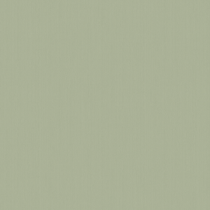 Обои флизелиновые Aura Stripeshome 580006