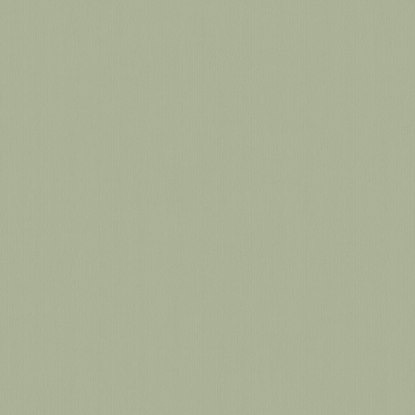 Обои флизелиновые Aura Stripeshome 580006