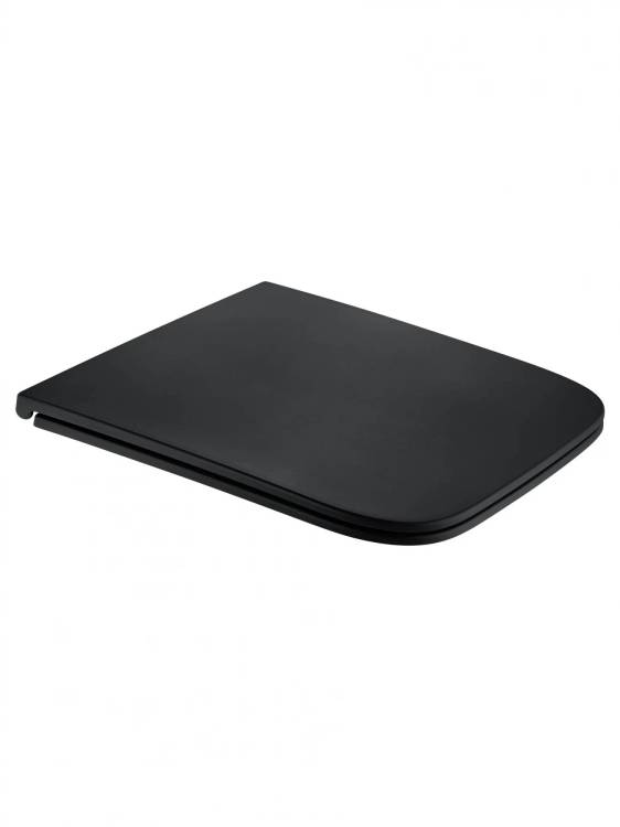 Сиденье для унитаза Wonzon & Woghand WW-S2216-MB с микролифтом, черное матовое