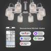 Люстра на штанге хрустальная Eurosvet Tenia 70090/8 графит Smart фото 5