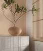 Керамическая плитка FAP Ceramiche True Color fTD1 Wind Fossil Matt RT 50x120 фото 21