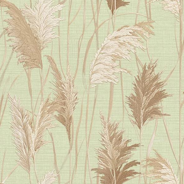 Обои Alessandro Allori Giorgio 1009-5