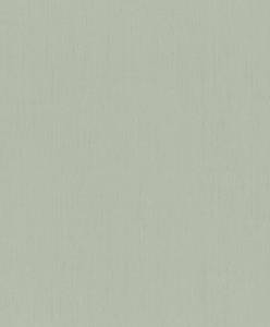 Обои флизелиновые Rasch Indian Style 746136