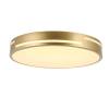 Потолочный светодиодный светильник F-Promo Pall 2745-2C