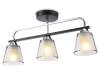 Потолочный светильник Ambrella light Traditional TR303235