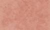 Декоративная штукатурка Decorazza Stucco Veneziano SV10-59 розовая 7 кг фото 2
