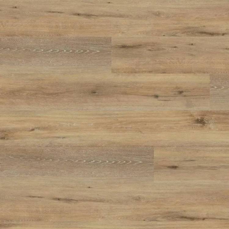 LVT Ламинат Wineo 400 Wood XL 2/31 4V DB126WXL Дуб радостный мягкий 1505x235