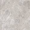 Керамогранит Ocean ceramic OC0000224 Infinity Panama Natural Glossy 60x60