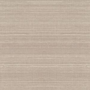 Обои York Ronald Redding Grasscloth & Natural Resource VG4406NW