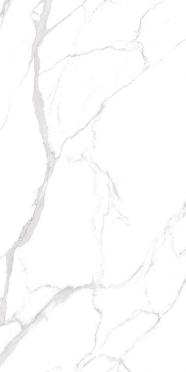 Керамогранит NT Ceramic Marmo NTT99512M Statuario Ultra White 60x120