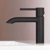 Смеситель для раковины Am.Pm Libre F6002122 черный фото 5