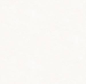 Обои Victoria Stenova Jungle 287101