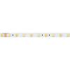 Светодиодная лента Arlight 14,4W/m 60LED/m 5060SMD холодный/теплый белый 5M RT-B60-10mm 24V White-MIX 025213(1) фото 5