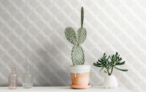 Ceramica Colli Studio