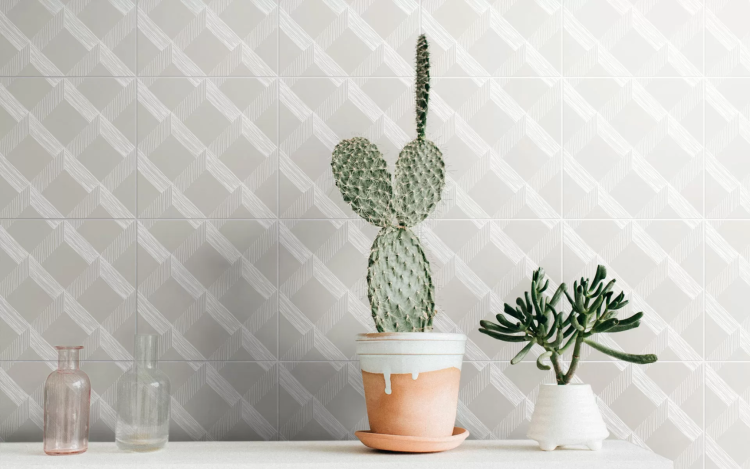 Ceramica Colli Studio